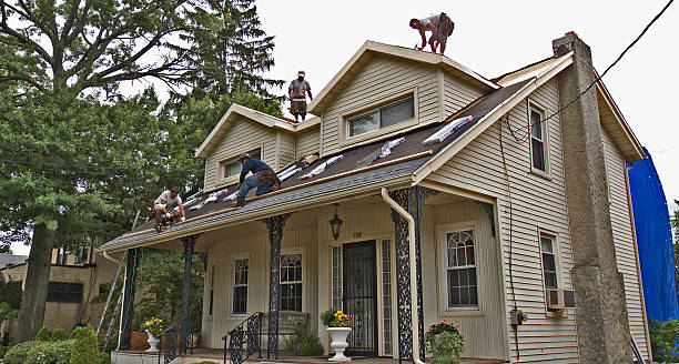 Best Metal Roofing Contractor  in Medina, NY