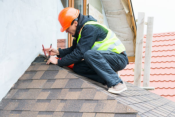 Best Roof Gutter Cleaning  in Medina, NY
