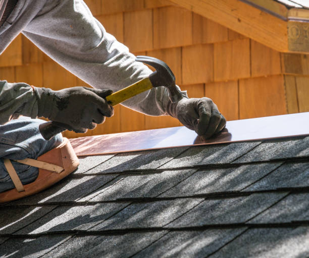 Roof Gutter Cleaning in Medina, NY